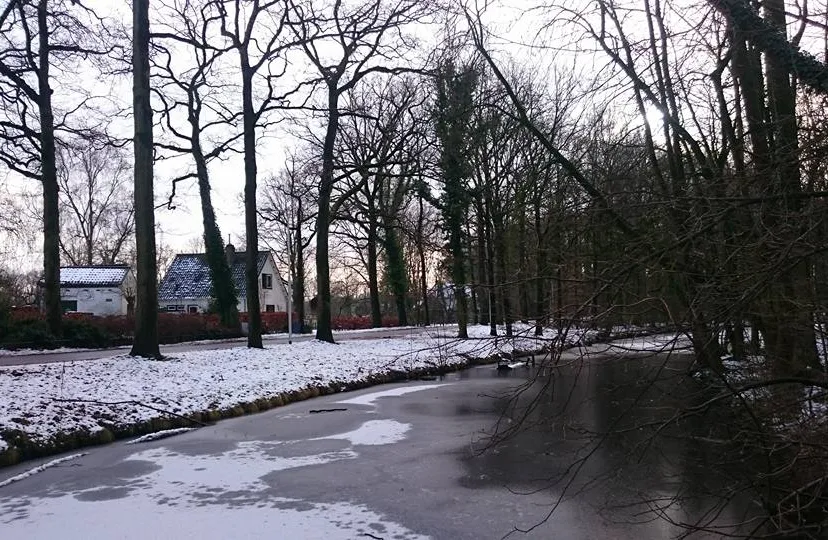 16114005 10208144079826389 2508411951593963888 n