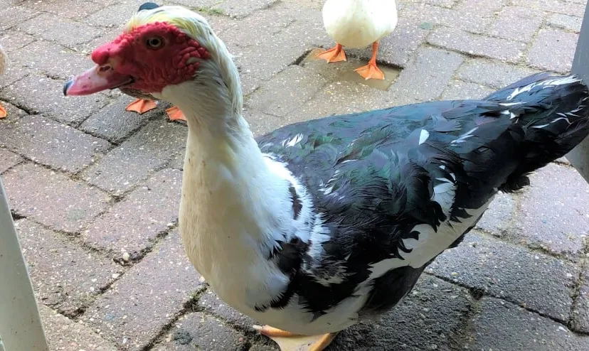 1a49fe96 5d5b 4bf6 af3b 936a8b306237 thumb840