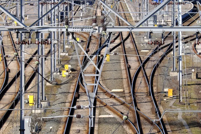 1c4ff5e64cf8db1d6292af761935 1433717jpgd