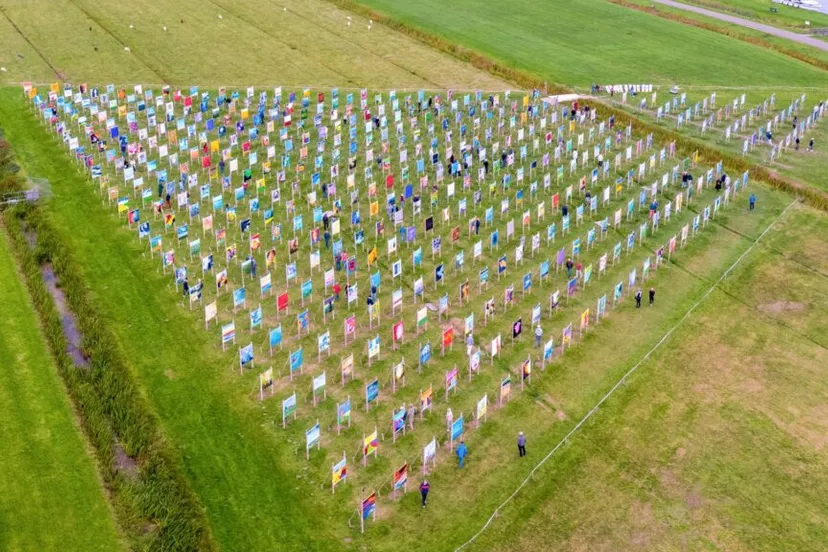 20201110 the colorifield performance sloten 1024x576