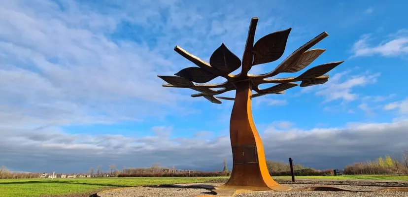 20201214 134357 1000x400