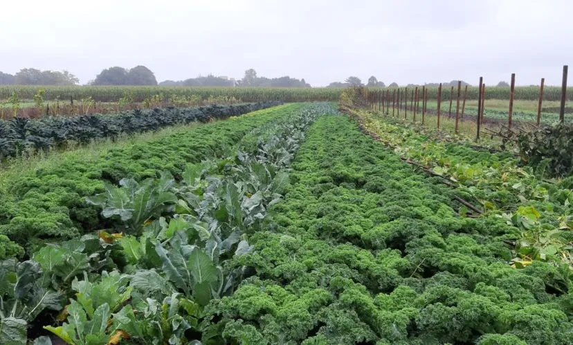 2021 10 03 bezoek hb weert 10 1 1024x498 1