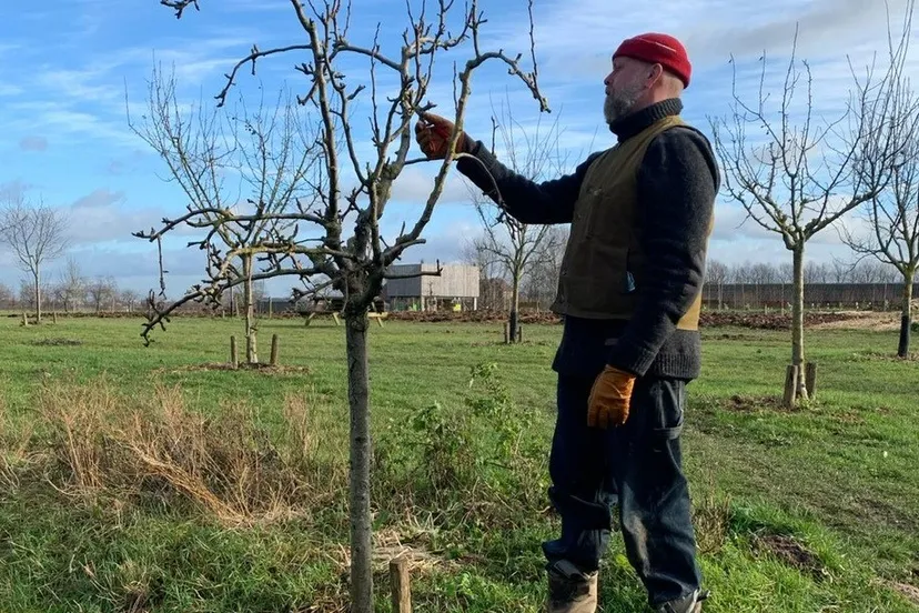 20220126 foto persbericht het appelland workshop snoeien 1