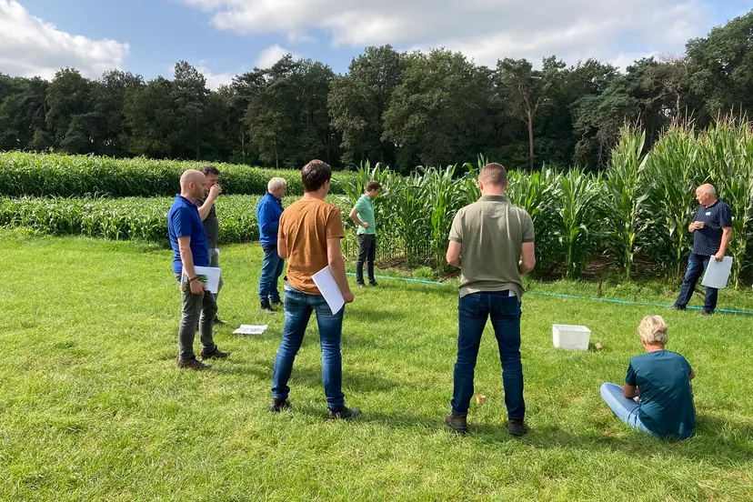 2662 be020e679c81a5e4e8bb244c8a1cf08b