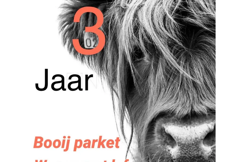 281543354 5022763381112871 7160020861122432767 n