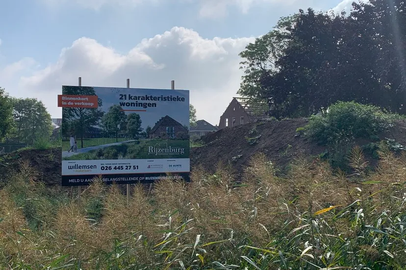 309591576 5774912399238601 6374686561871638660 n