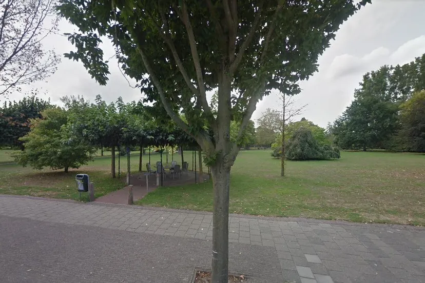 311735473 489219116582578 2669624416236110896 n