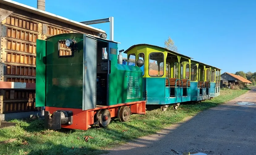 314604629 673416461068546 3294059487830844289 n