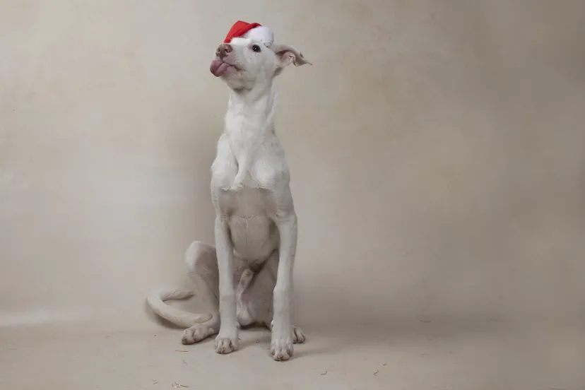 318302162 517064110462707 3095860254580492905 n