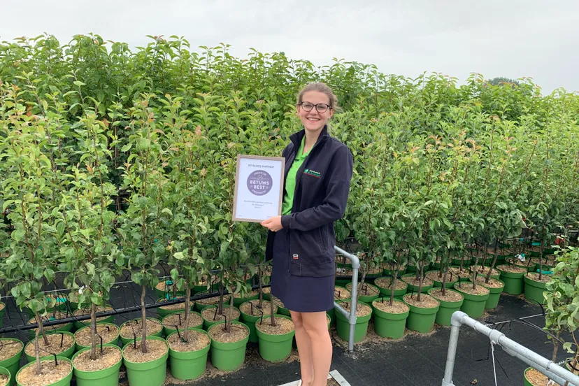 4296 12c35d88e45e0d6eef381aa36f0d12e3