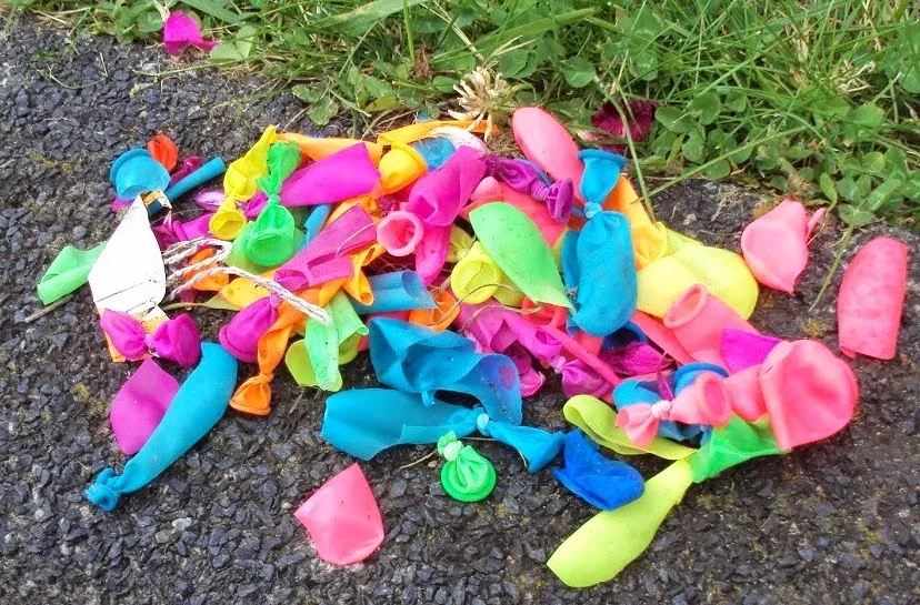 4343 112447fde7299a169016c3f362f364c1