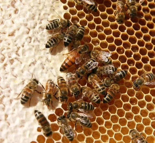 56380203 10213655319443935 149421985242284032 n