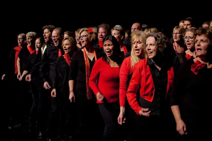 81342638 3114991671864128 1145034084930551808 o