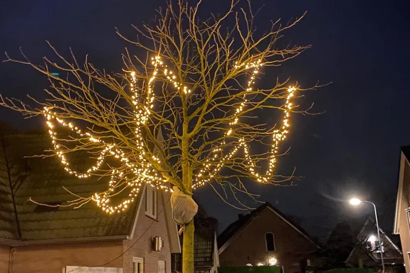 8dcfd230 2269 11ea baf2 1589d0edfaa4