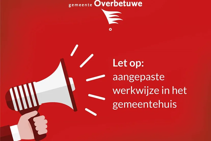 93277964 1708196542655365 7394185649202397184 o