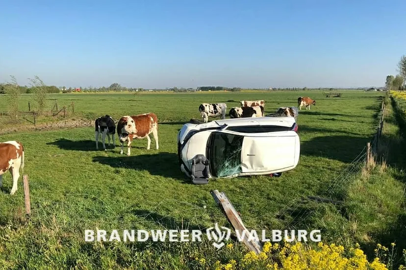 94022423 770917820105742 6405593935552446464 o