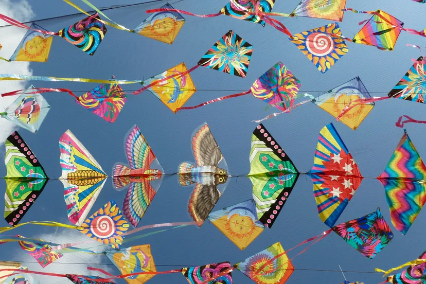 agnieszka ziomek via unsplash