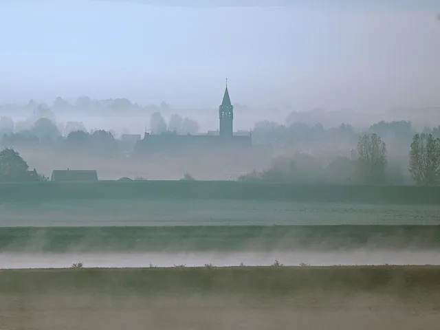 ben paul via pixabay 1