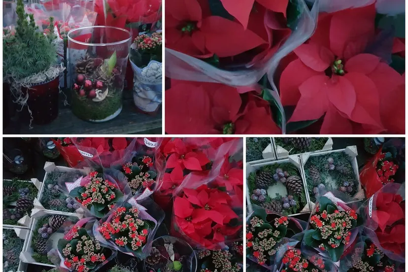 c95a8780 2db1 11ea 956c 8fa09625066b