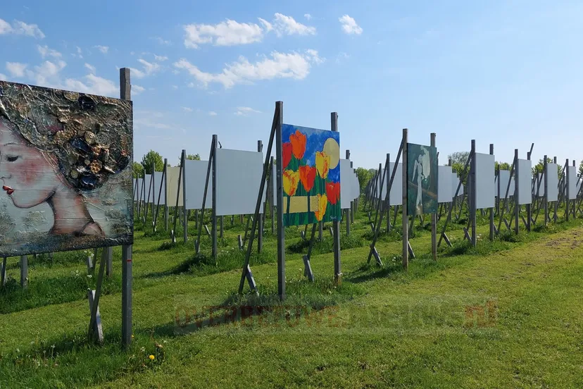 colorfield performance