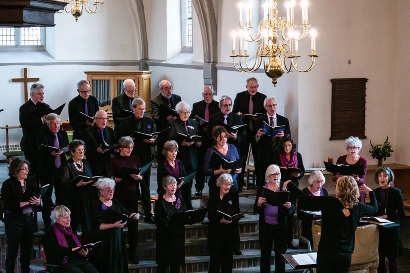 cvz in concert groot