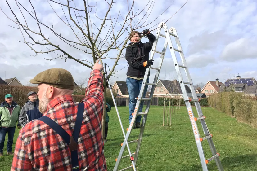 foto 09 03 19 11 46 16 1