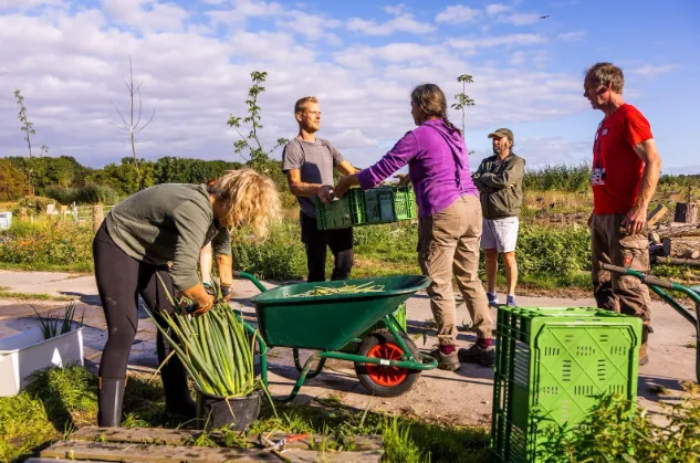 foto mark van stokkom