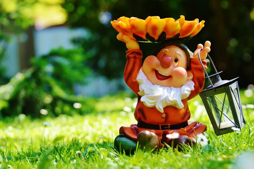 garden gnome dwarf lantern sweet cute funny flower sun flower 1325744jpgd