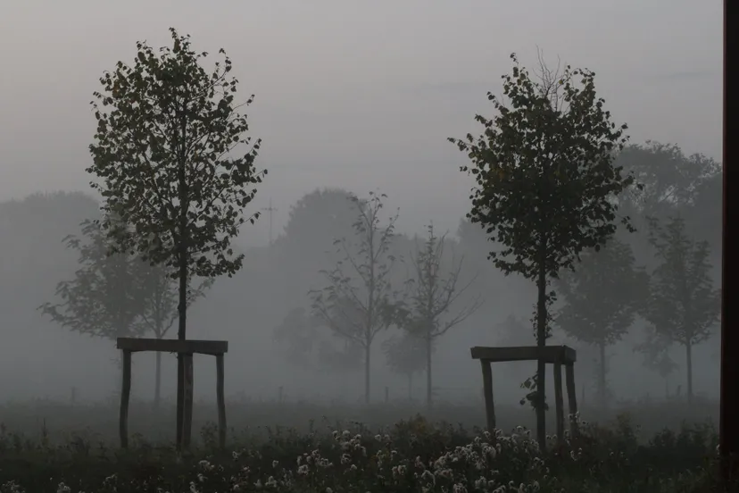 mist hans middendorp cc0 pexels