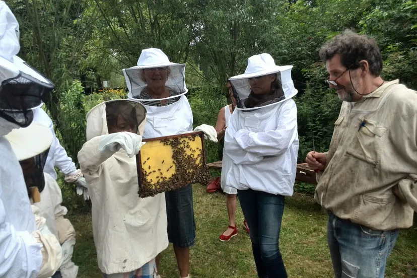 nbv imker legt uit scaled