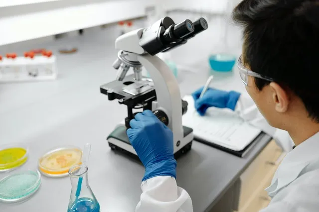 pexels edward jenner 4033019