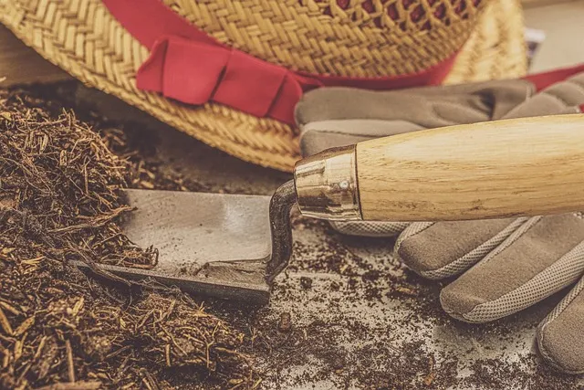 plants g9b081cc98 640