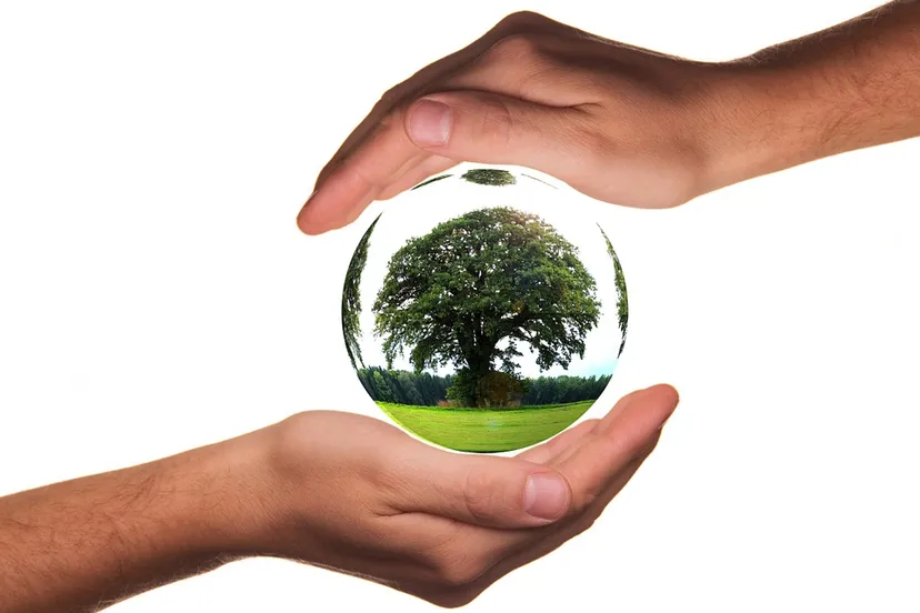 protect geralt pixabay