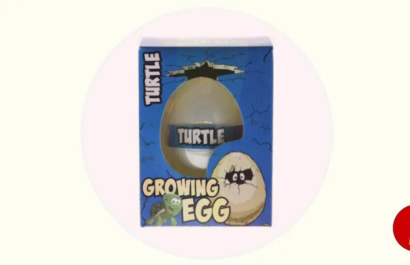 recall action free easy turtle egg productfoto 1024x536 1