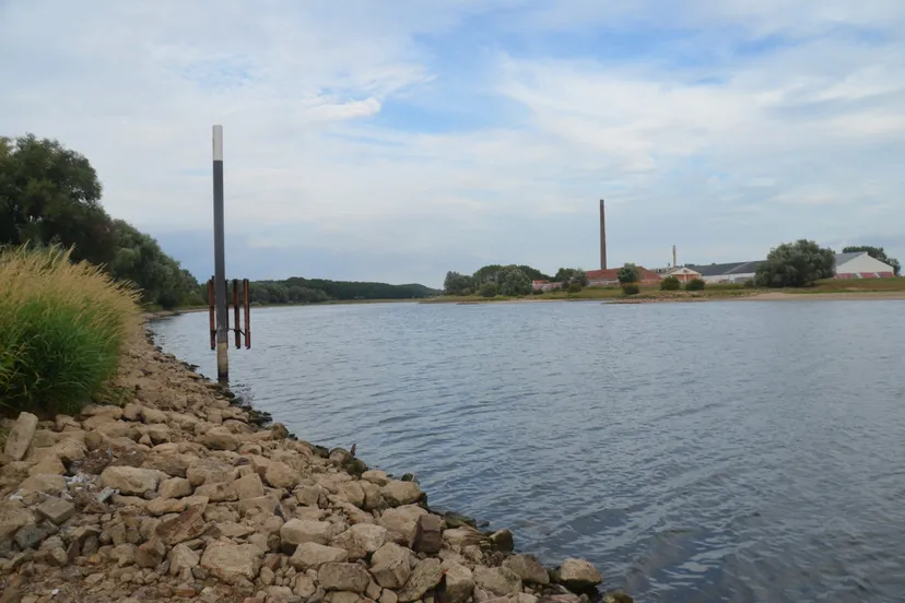 rijn pontje aug 2022 2 scaled