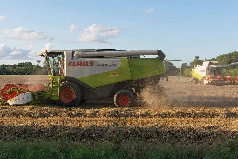 rob dammers cc by 20 flickr