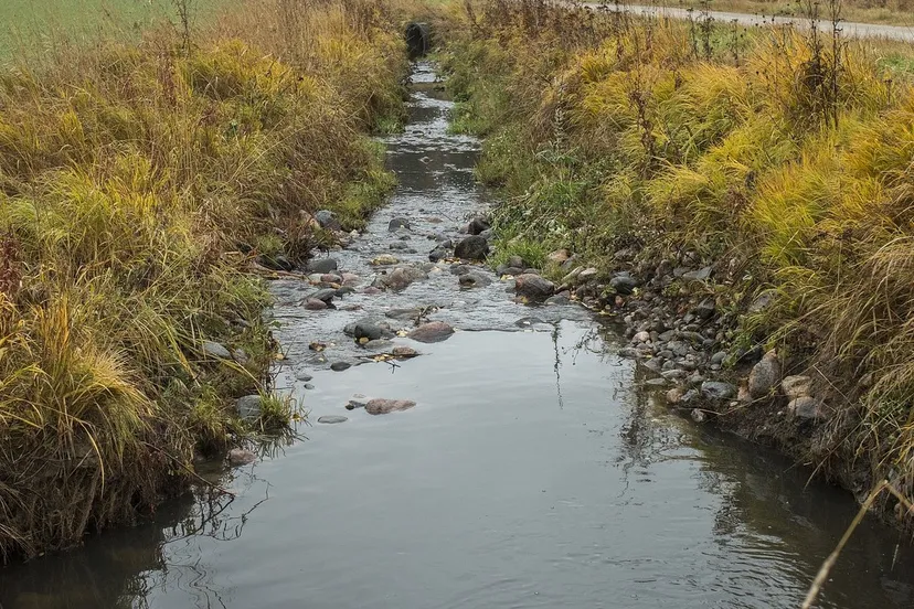 sloot emminum pixabay