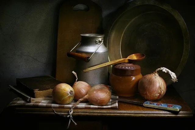 still life with onions 4876410 640
