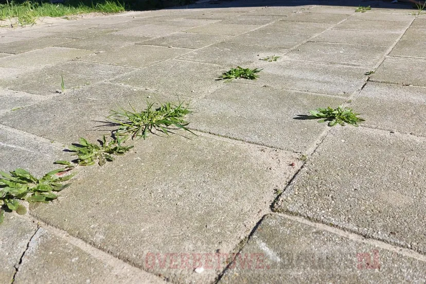 tegelruilactie tegelwippen