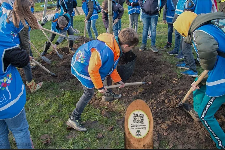 toekomstboom valburg