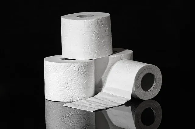 toilet paper 3964492 640
