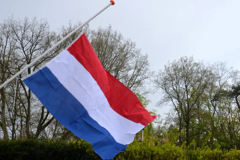 vlag half stok dm van hellesem