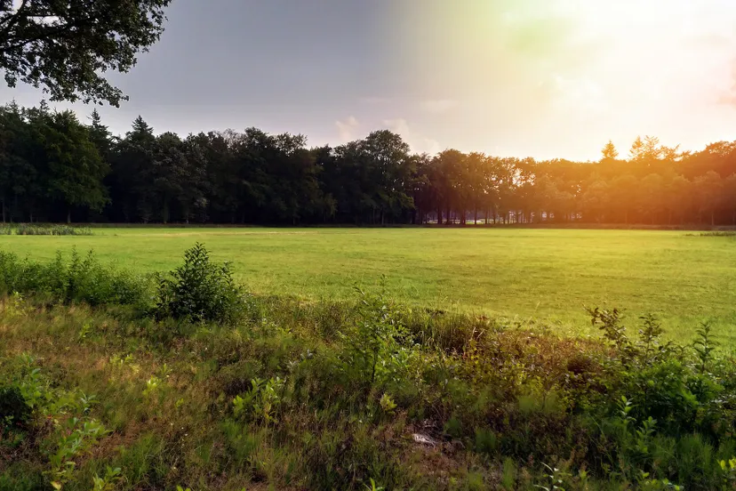 zonnig nana cola pixabay