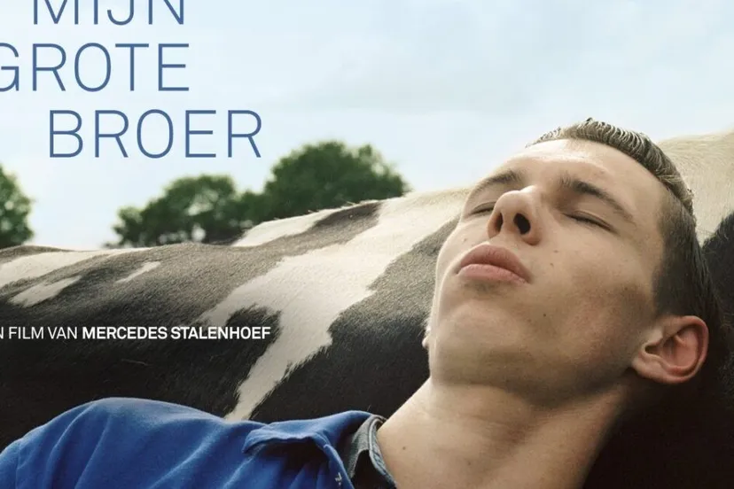 thumbnail zonder logo mijn grote broer horizontaal v1 2