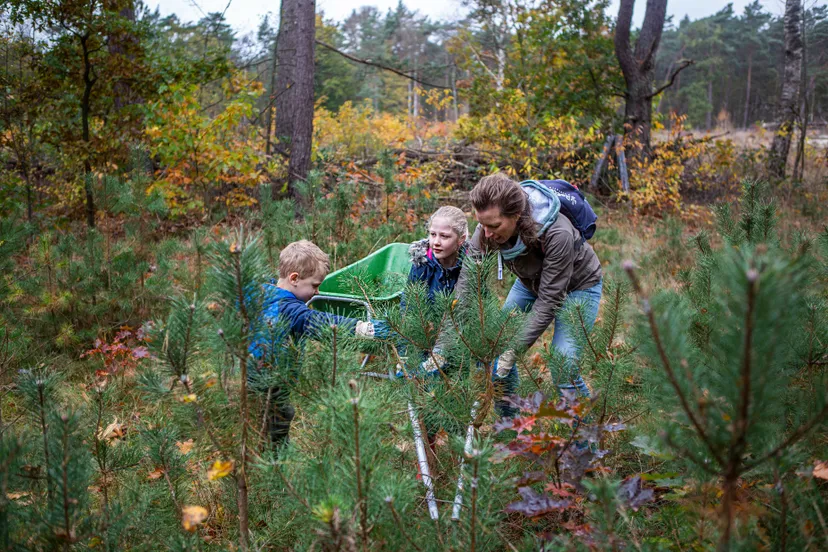 nationale natuurwerkdagen op 1 en 2 november foto landschappennl