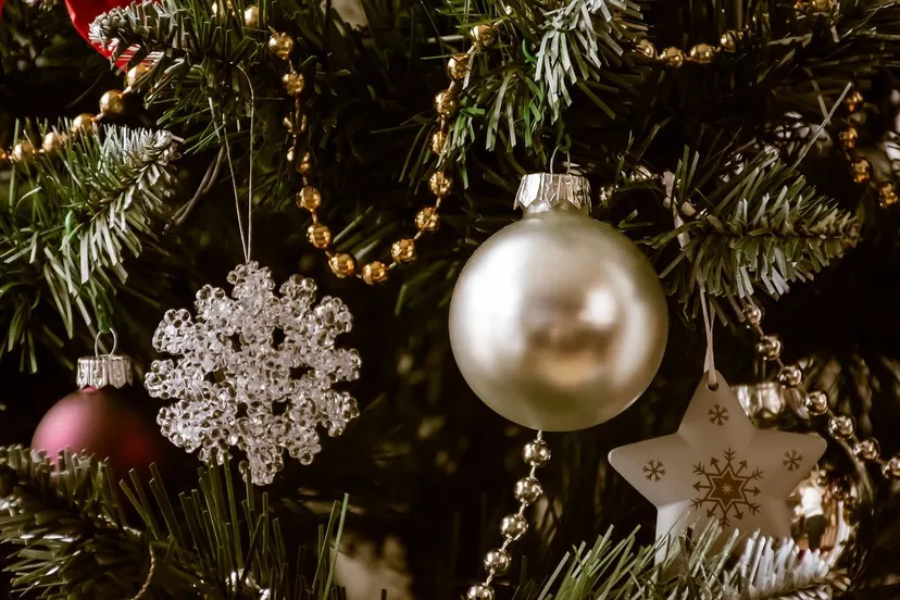 kerstboom hunt er pixabay