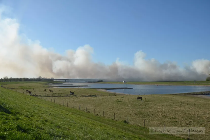 06 04 25 brand groene waarden 23