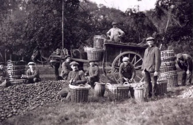 evenement landgoed loenen