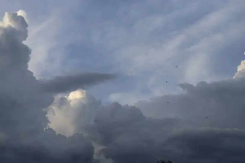 Regen wisselvallig