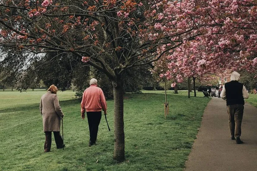 1366 wandelen ouderen1